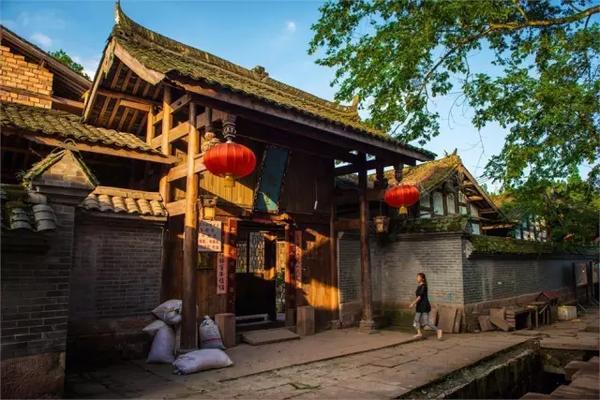 植物大战僵尸16